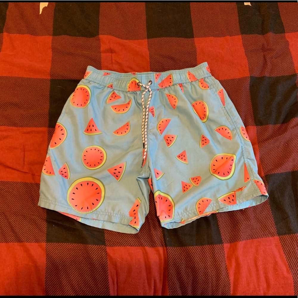 WATERMELON 🍉 Swim Trunks / shorts